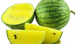 冰甜无为吃瓜爆料,娱乐圈幕后真相大揭秘